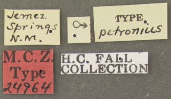 Media type: image;   Entomology 24964 Aspect: labels